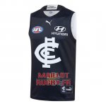 Maillot Carlton Blues AFL 2020 Domicile Maillot Carlton Blues AFL 2020 Domicile