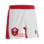Maillot Pays de Galles Rugby 2021-2022 Maillot Pays de Galles Rugby 2021-2022