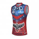 Maillot Melbourne Demons AFL 2022 Maillot Melbourne Demons AFL 2022